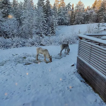 Santa Claus District Family * Rovaniemi