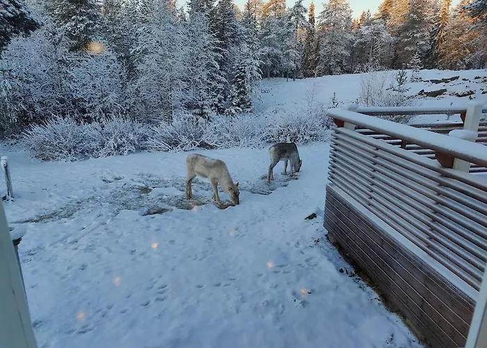 Santa Claus District Family * Рованиеми