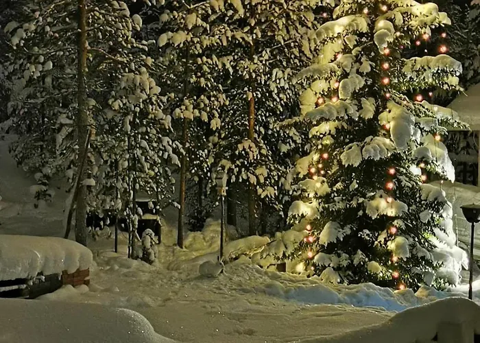 Santa Claus District Family *